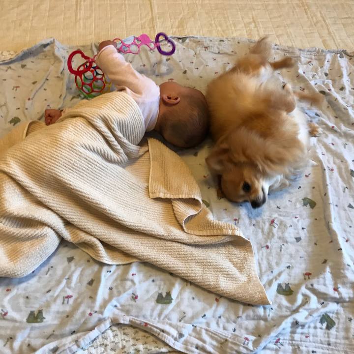 06d668c5 a35d 47f5 bbaa 8b779fd0288d 1520556564396