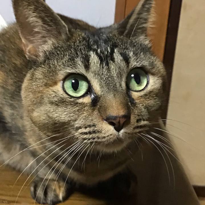06d6b57a b744 46eb b181 969eb163a8e5 1763977623500