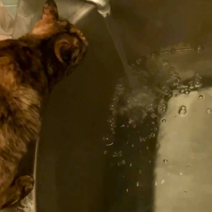 06d6c284 55f6 4952 bc84 f66272772197 1742764475143