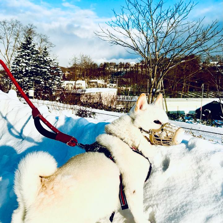 06d6da0c e70d 47b6 83a6 ef570b4c6f4e 1703378541115