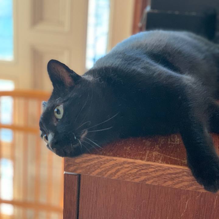 06d7109d 1734 4b1d 92ef 8302ae3cff11 1568076276635