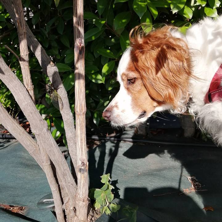 06d7709e 979e 44b3 9763 b061762922a1 1626565338842