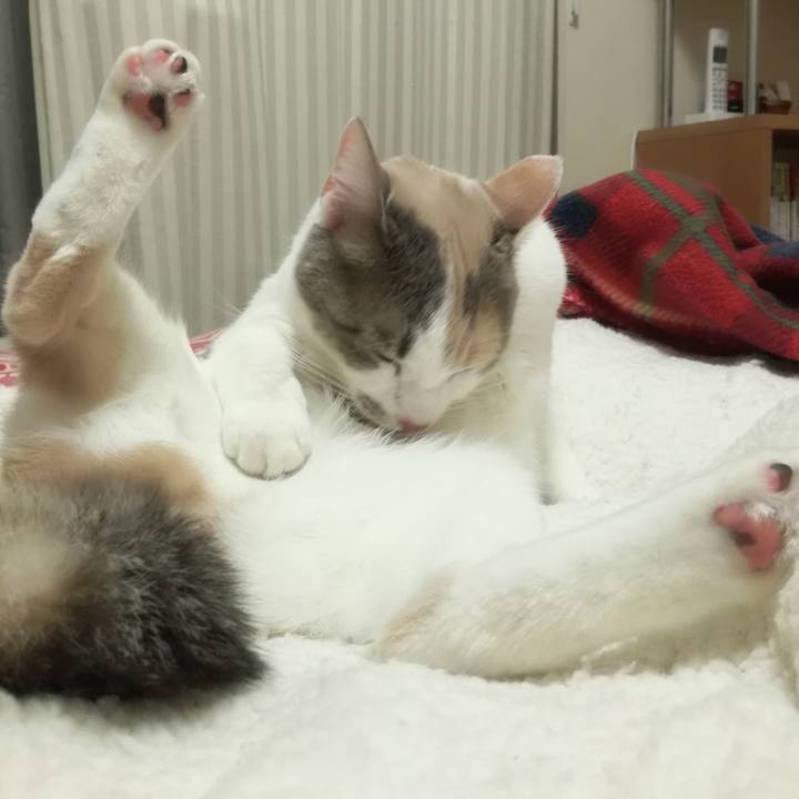 06d77cde 8583 4536 8f47 b5052e5d3aed 1516448758307