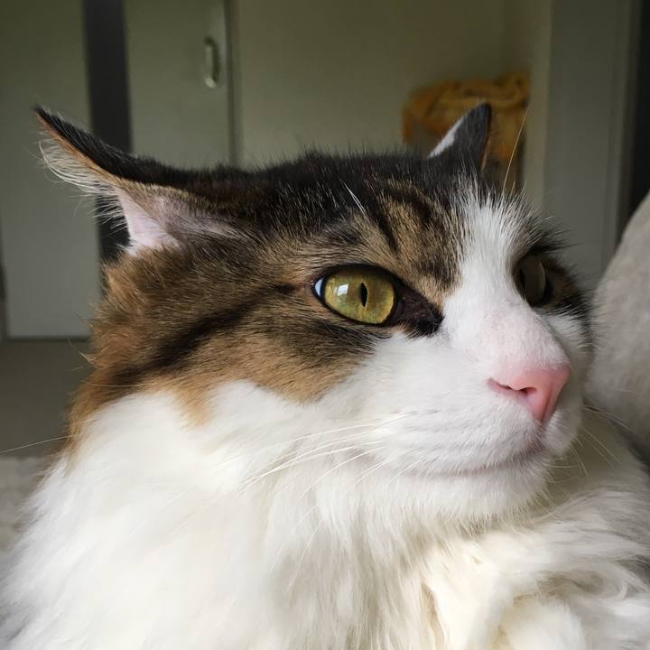 06d77ecf 3423 43a8 9686 05caae878c1e 1529742812936