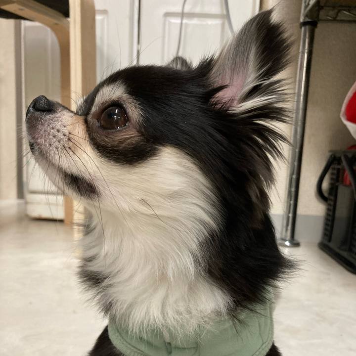 06d785c2 2450 4c98 b670 e519fe7257d5 1647781623246