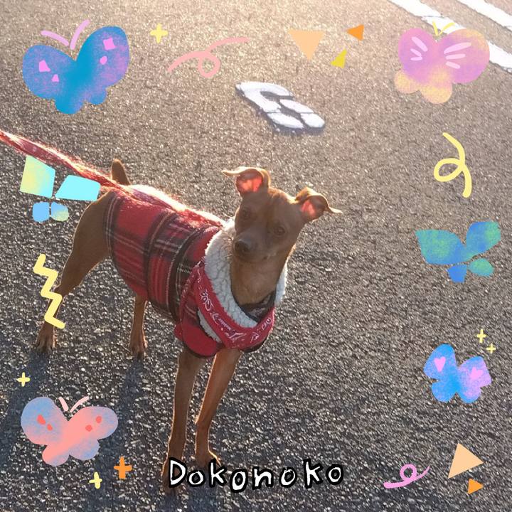 06d7a000 f660 46c2 be25 21db29db520d 1711442943896