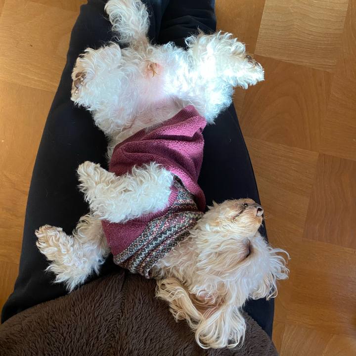 06d7ac7c 9316 4bd1 9dee 80969d8400e5 1610342871689