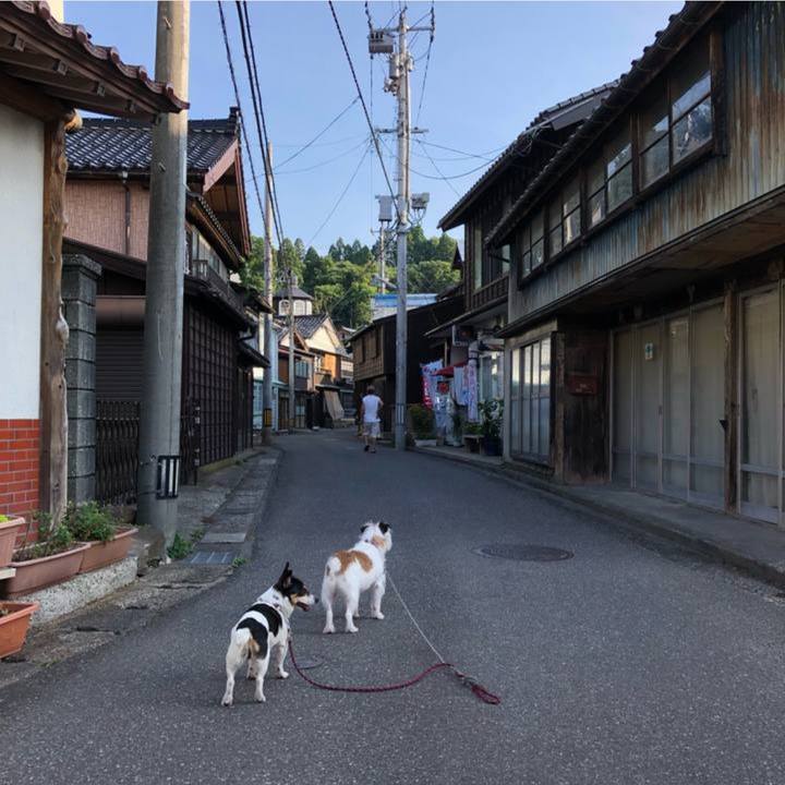 06d7cb9c 9c82 4184 a1c4 e32dc5e6811d 1724114137787