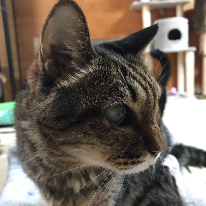 06d7d52a c213 4a67 aaa0 66e480df9807 1551488183691