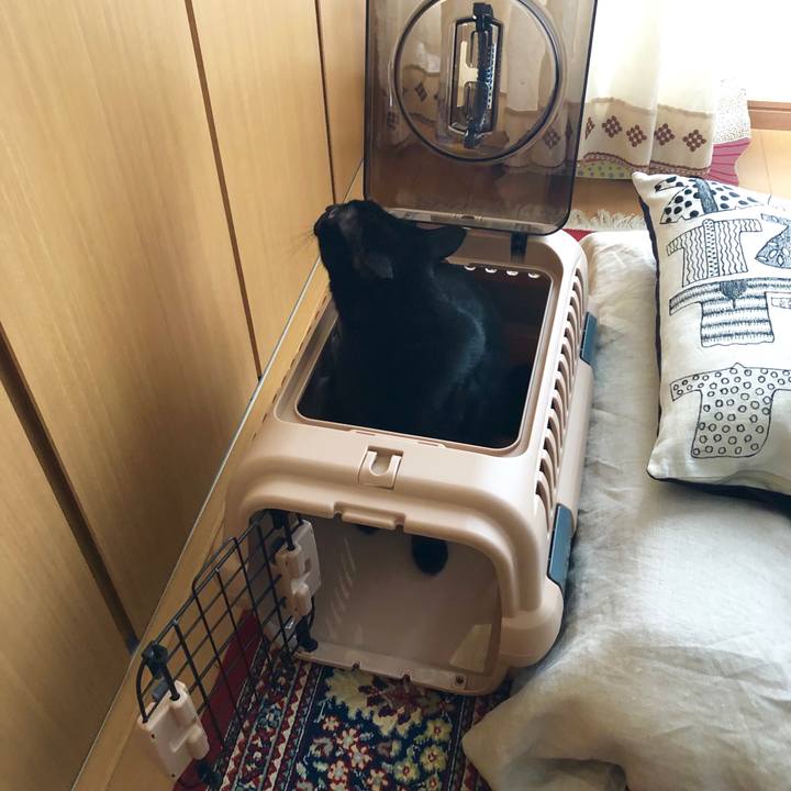 06d86132 8652 4e35 b570 6bc535b4baa5 1545463689266