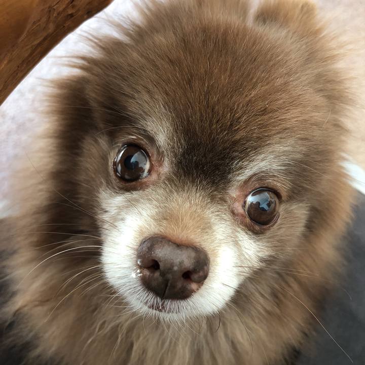 06d8855b 7dcf 4c56 8af5 09d5736af0cd 1615766415318