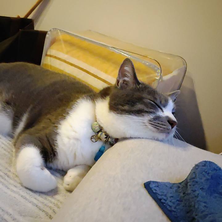 06d8ba37 3188 45e3 86c2 2141baceacc5 1718273016228