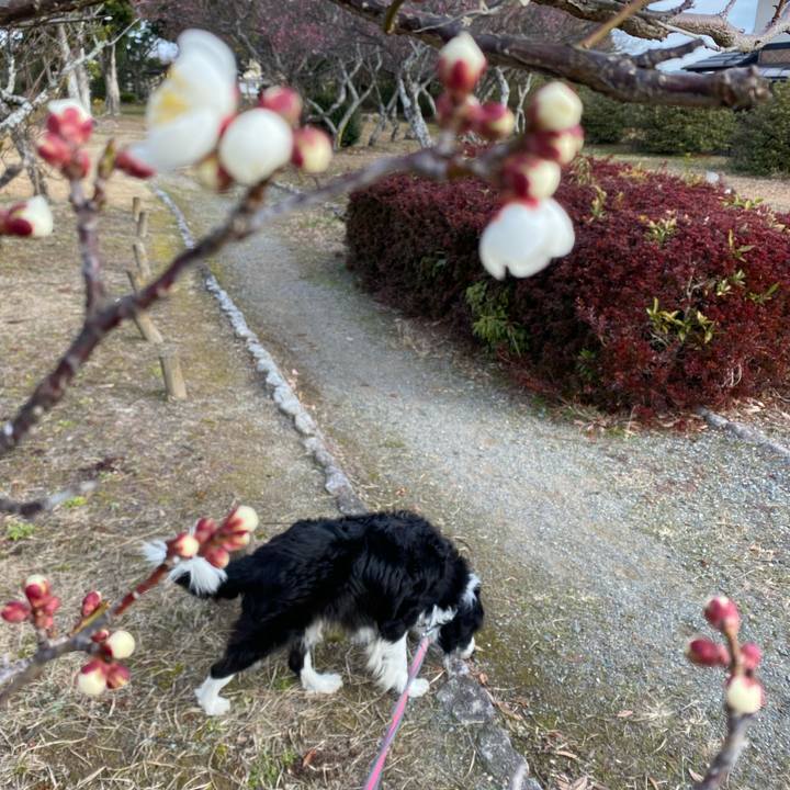 06d8ca57 613f 469a 8199 e3cc6841afb3 1643935737943