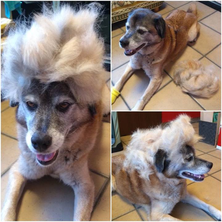 06d8da52 530a 416b b2c6 b6831b69897d 1564476399522