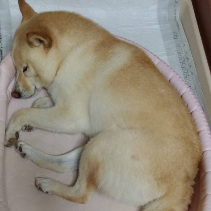 06d8f428 d3fd 4782 8ed6 8d932ea0c12a 1595510313779