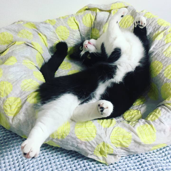 06d9581a 129e 4387 b5ed 6bdcc8aff4db 1654092296256