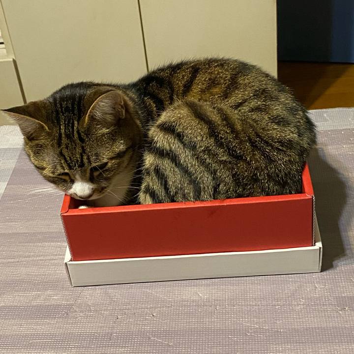 06d97210 4493 4e06 b0ad 67fdbab8c5c7 1615886582384