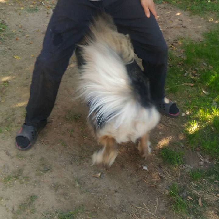 06d9728d 9def 4389 84a2 6acc117f0d59 1541753754056