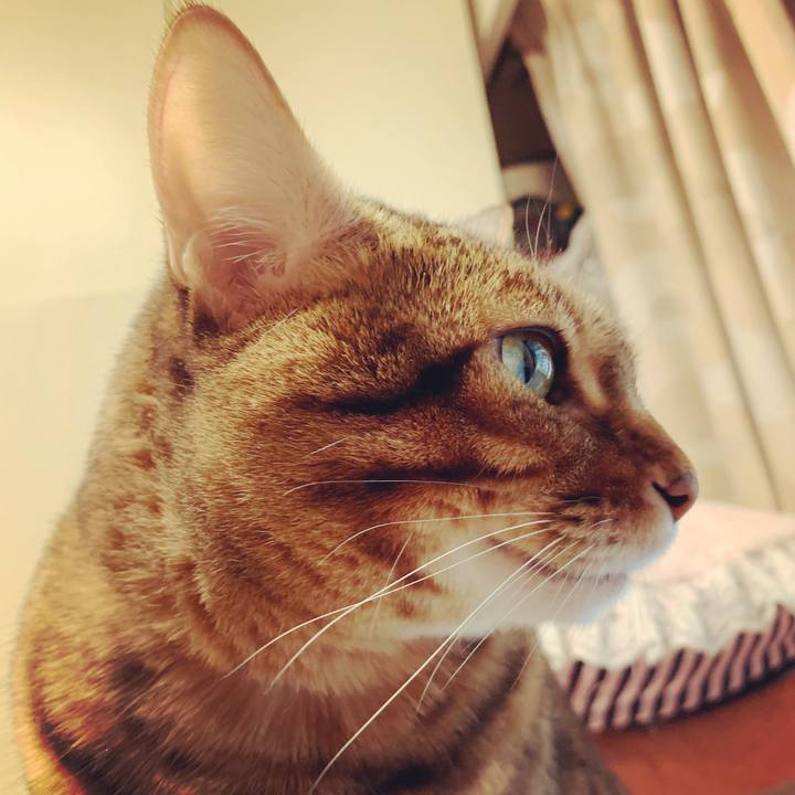 06d98a38 98ec 48d6 b386 15d6016ba109 1618100342906