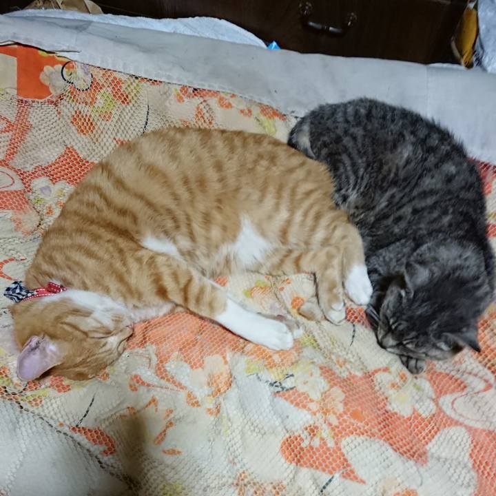 06d9960f 4a0c 4c0d bb47 af8dae615215 1571491527539