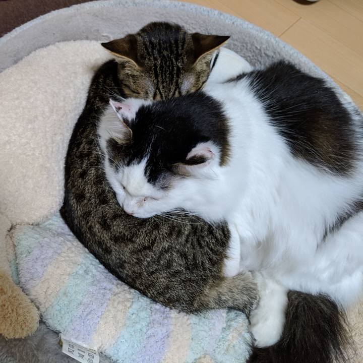 06d9a464 6354 44cb adc2 93b4539becd0 1547390566190