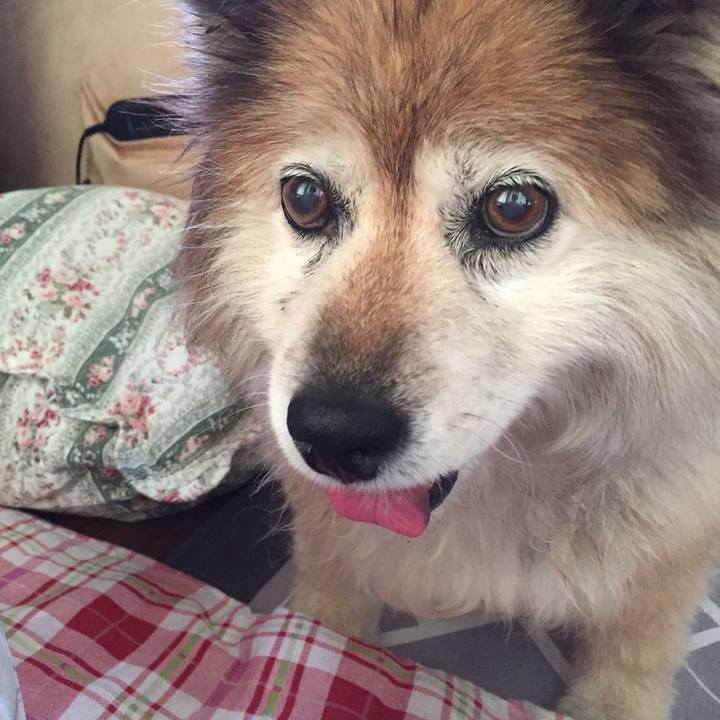 06d9f379 cf71 429b 80b0 7841b75e6af1 1548056052360