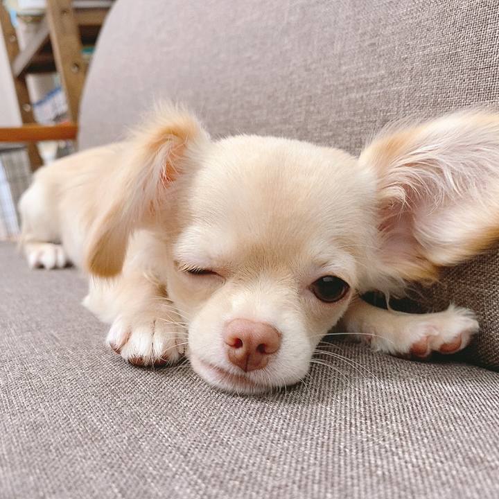 06da5b7e 02d2 4791 9517 00f923e178b9 1595320801852