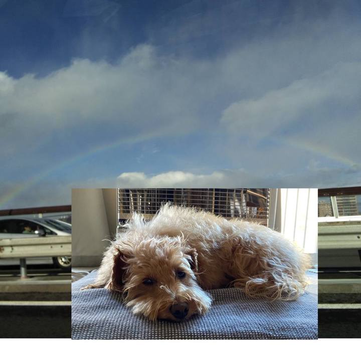 06da6015 a544 420b 873e 4c6d0da09131 1636671931956