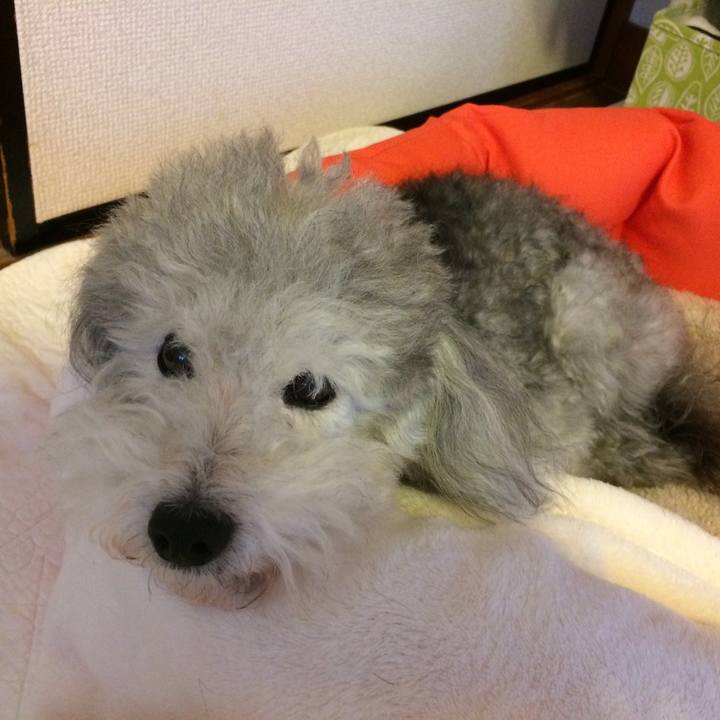 06daa576 a27e 4a67 a4c2 ca1dac8340ff 1508110440929