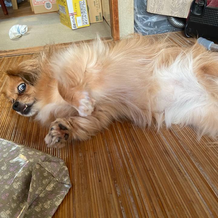 06db3d8e e9d6 4407 a8a6 5c2b306fb760 1662762217820