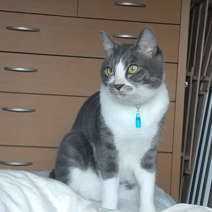 06db51a0 04fb 4f3e 9f53 9fabdd46630b 1624147381930