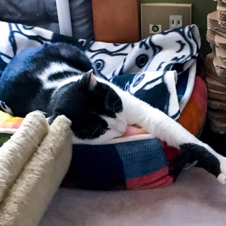 06db5ce5 1b05 430e 9fc0 a4c7d1648721 1509544293184