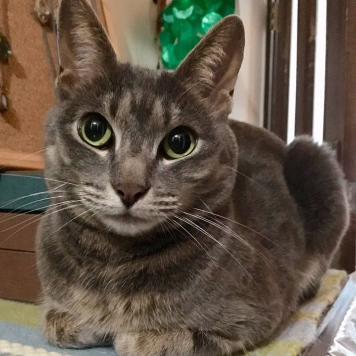 06db870e 0ea0 4fb0 b3d9 e71f1e0c1db0 1559917092706