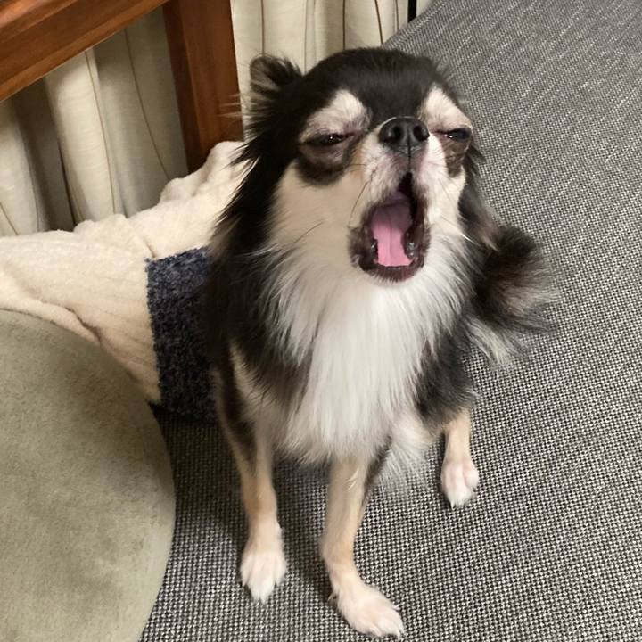 06db9813 fd46 4b31 9ea5 c8c6e18f6031 1635686149172