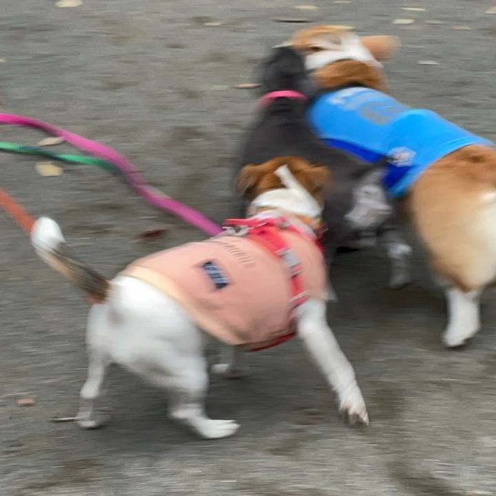 06dba563 2b47 4512 9063 6c72452a127e 1699700352368