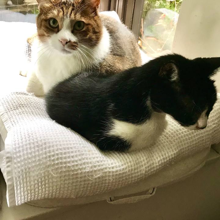 06dbb0fd b501 43b7 9679 44d74887dabc 1571052756852