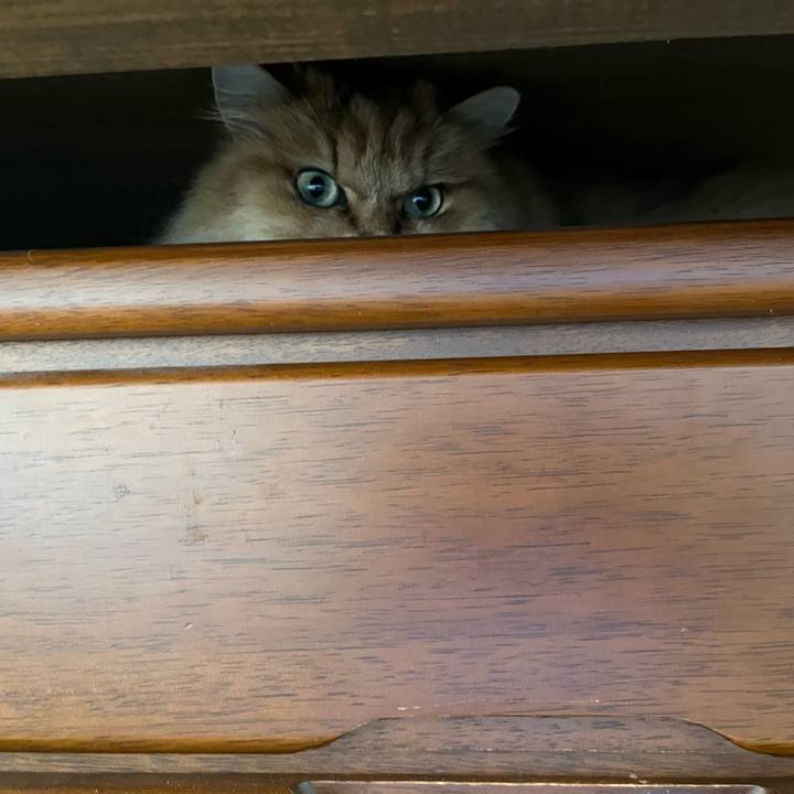 06dc27ba 7016 41b7 a026 05f790a35b9c 1725096907207