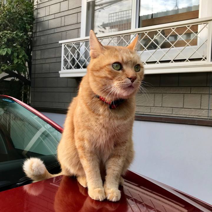 06dc348f 3551 4269 9466 a045134b54d9 1541579806531