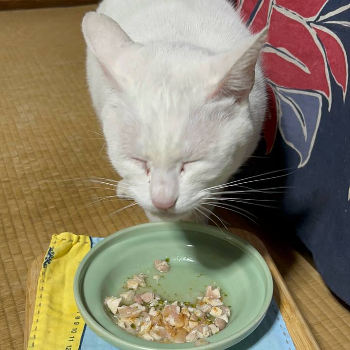 06dc7b73 4454 48da b80a def4e8a5412c 1768645543320