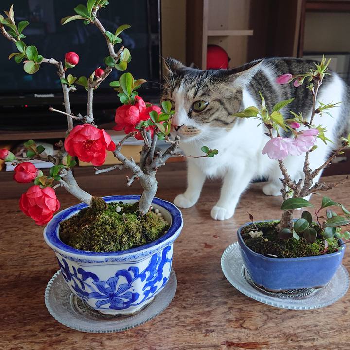 06dc9d71 82ab 4fdf 97ee 29b0c5dc74d1 1680309491862