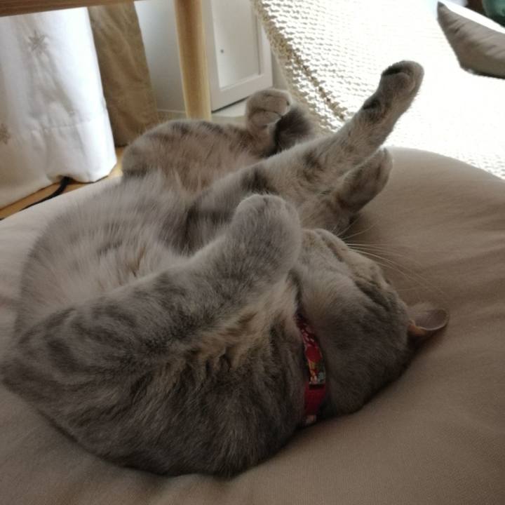 06dcadee fdf0 4f65 baf1 fd43ec44c6ca 1525957169107