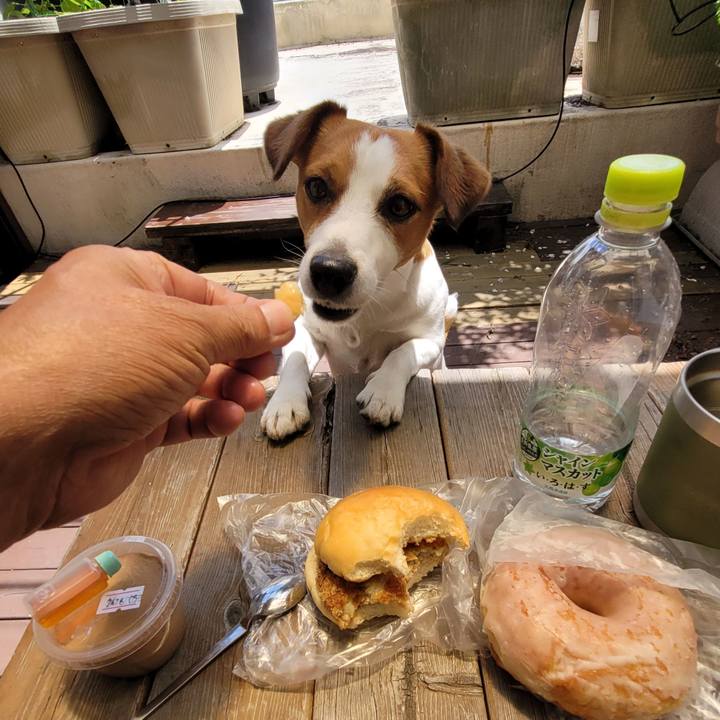 06dcb829 ae19 445c 8086 80aaca73051a 1717480269271