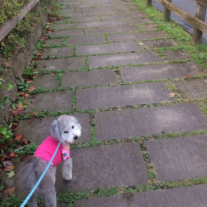 06dcc146 564b 4831 b0c8 ff58d82a7cfa 1758607262519