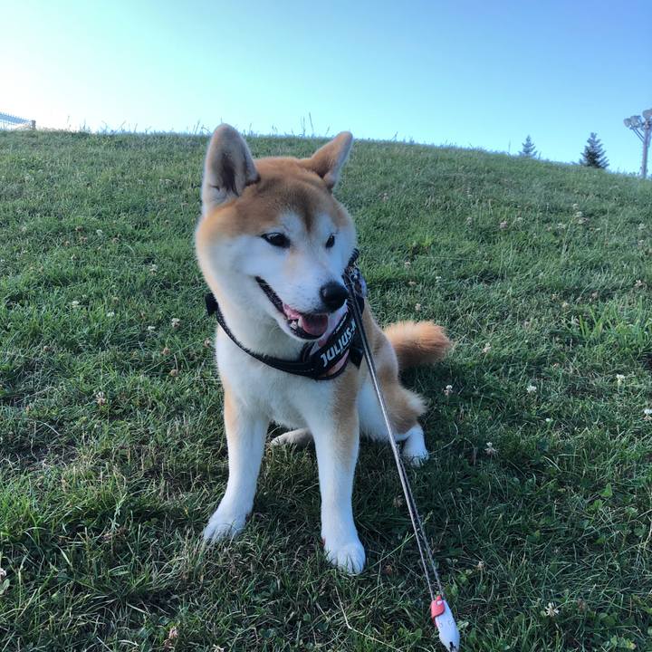 06dcce3c e69d 4385 b26d 73aa01cade8c 1563785056089