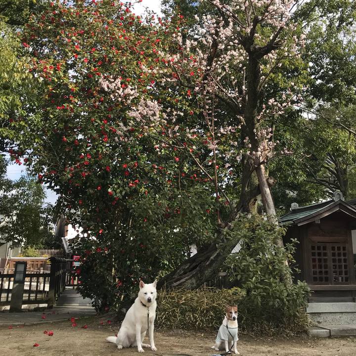 06dcffa8 72e6 4868 8cbc 64aaea25a283 1520642592542