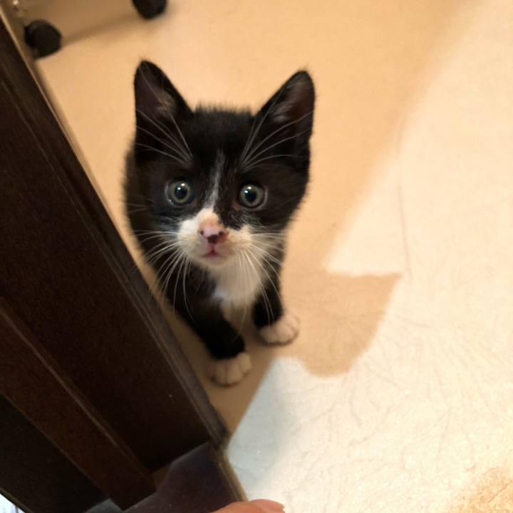 06dd015e b48d 4949 a653 51ecb4409c54 1537592932552