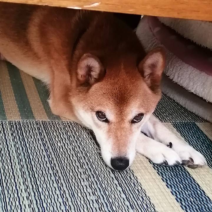 06dd135f 1de5 438b 963a 51a2ff066382 1595827603444