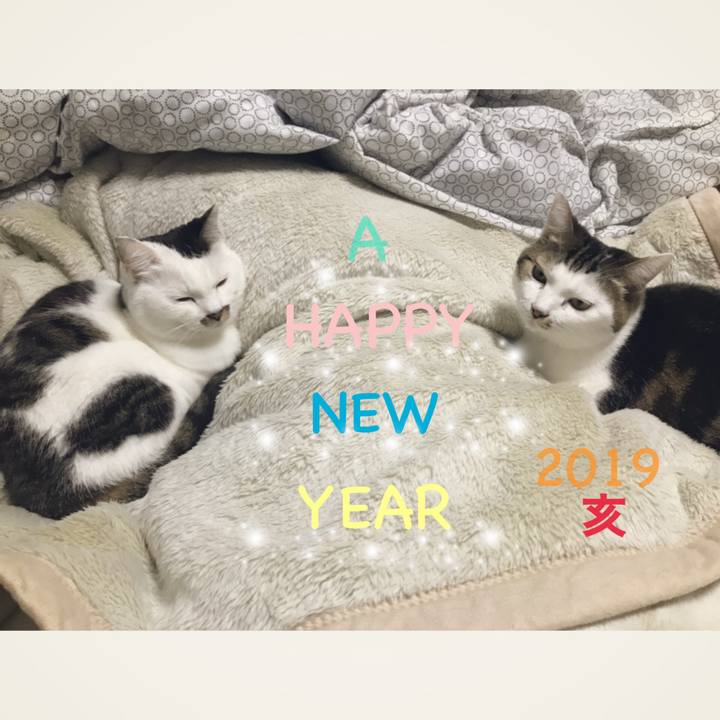 06dd18c7 361a 494c 852c ed23d9ee23cf 1546406690303