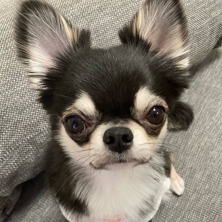 06dd18d2 c137 408c 836e 8fb4bc6ee37c 1618610754289