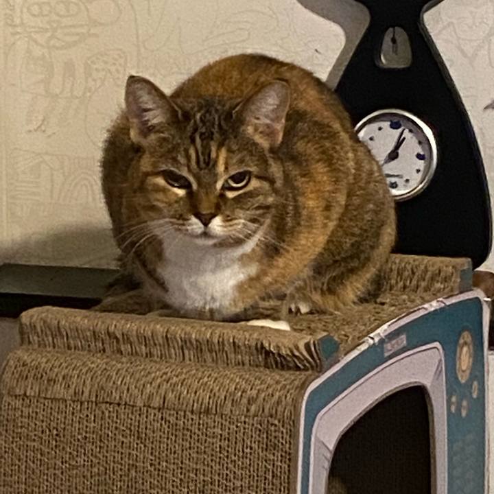 06dd240d 2a60 4489 86ef 717545a0d8e7 1668785727097